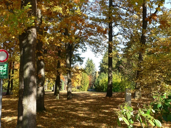 Herbst im Park