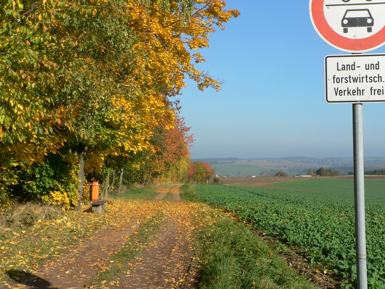 Schützenhausweg im Herbst.jpg