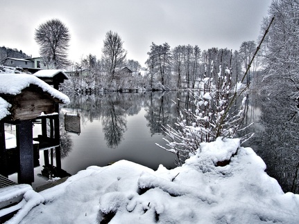 Winter am Thomas(n) Teich