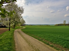 Frühling im Vogtland
